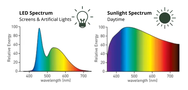 comparatif longueurs d'onde LED vs Lumière du jour comparatif entre longueur d'onde LED vs Lumière naturelle, lumière du jour